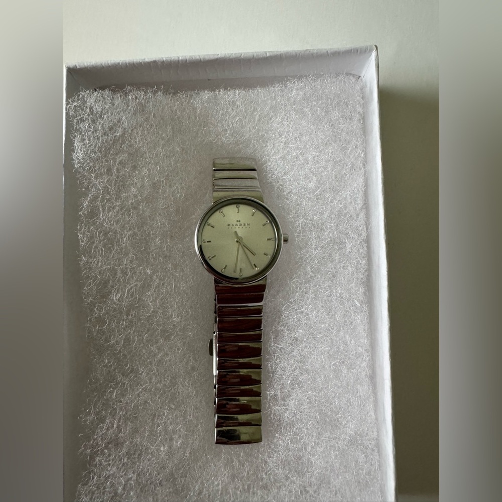 Skagen watch